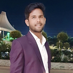 Paras Verma-Freelancer in Indore,India