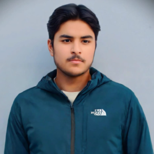 Mirza Moiz-Freelancer in Gujrat,Pakistan