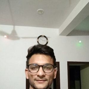 Patel Nilanj-Freelancer in Chandigarh,India