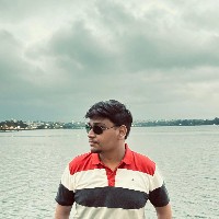 Arpit Gadekar-Freelancer in Nagpur,India