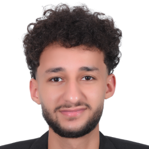 Mohamed Nabil-Freelancer in ,Egypt