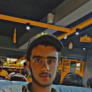Choudhary Zain-Freelancer in Ali Pur,Pakistan