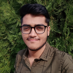 Indrajitsinh Tanvar-Freelancer in Himatnagar,India