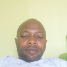 Johnson Olamide-Freelancer in Ijoko,Nigeria