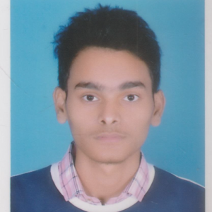 Nandan Kumar-Freelancer in Patna,India