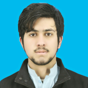 Fahimullah-Freelancer in chitral,Pakistan
