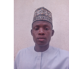 Abdulsalam Muhammad-Freelancer in Kaduna,Nigeria