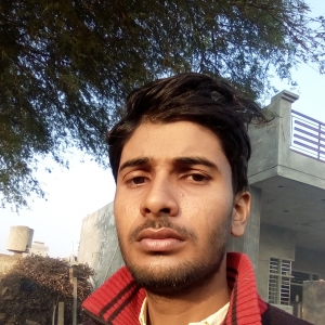 Vikash Kumar-Freelancer in Nohar,India