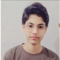 Nur jannat-Freelancer in Dharuhera,India