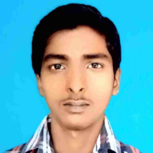 Vikash Kumar-Freelancer in patna,India