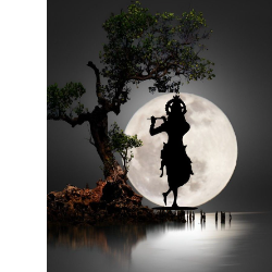 Skillora-Freelancer in Uttar Pradesh,India