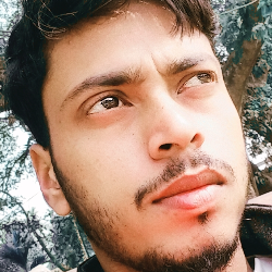 Rofikul Islam-Freelancer in Khorida Gossaigaon,India