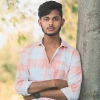 Karan Dhruw-Freelancer in Raipur Division,India