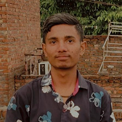 Developer Harsh-Freelancer in Ludhiana,India