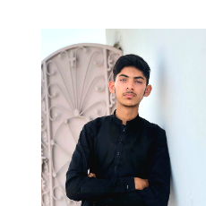 Zayad Raja-Freelancer in Gorhi Bhau,Pakistan