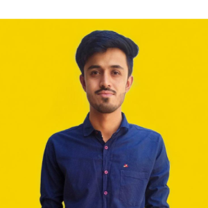 Arpit Pareek-Freelancer in Bhilwara,India