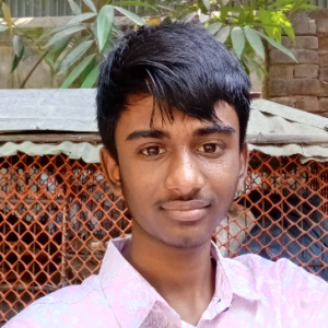 ARAFATH HOSEN-Freelancer in Lalmanir Hat,Bangladesh
