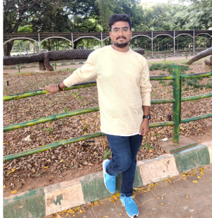 Nikhil Bindela-Freelancer in Tirupati,India
