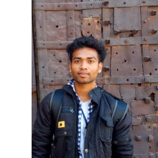 Litesh Narang-Freelancer in Patan,India