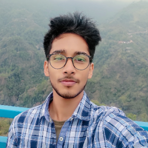Abhijoy Debnath-Freelancer in Siliguri,India