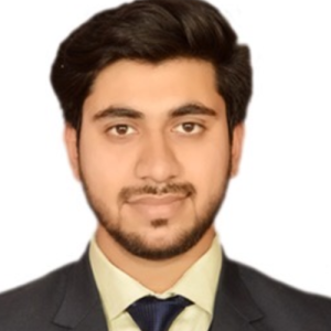 Faisal Khan-Freelancer in New Delhi,India