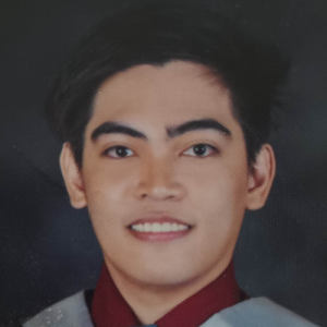 Dashle Platilla-Freelancer in Calamba,Philippines