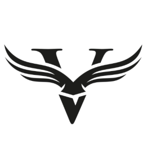 victor-Freelancer in Chirala,India