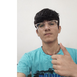 Rudra Rajpurohit-Freelancer in Bilara,India