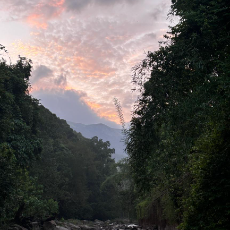 Abhinav S-Freelancer in Venagara,India