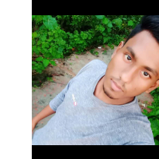 Md Basid Hossen-Freelancer in Pirojpur District,Bangladesh