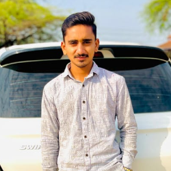Bhavesh Prajapati-Freelancer in Deesa,India