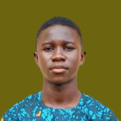 Damilare Emmanuel-Freelancer in Chicago,Nigeria