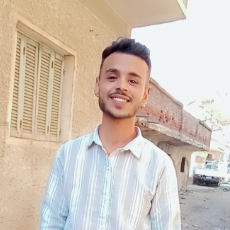 Fares Sharabia-Freelancer in Alexandria,Egypt