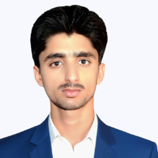 Sajjad Hussain-Freelancer in Faisalabad,Pakistan