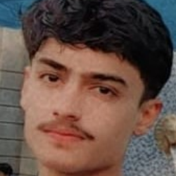 Malik Zain-Freelancer in Kamoke,Pakistan