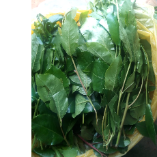 Kadiro Wolde-Freelancer in Addis Ababa,Ethiopia