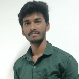 RAMAN-Freelancer in Salem,India