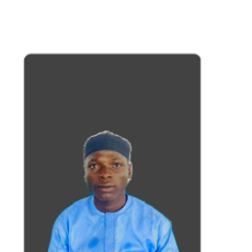Jikan Mallan-Freelancer in Ibadan,Nigeria