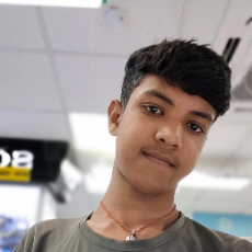 Roshan Kumar-Freelancer in Bettiah,India