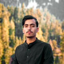 Kashif Kashi-Freelancer in Islamabad,Pakistan