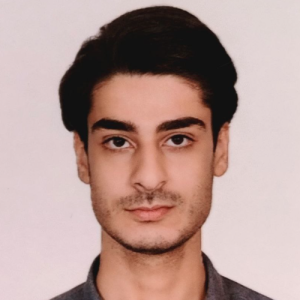 Alireza Deljoupour-Freelancer in Rasht,Germany