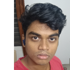 Niteesh Babu Thamanampalli-Freelancer in Guntur,India