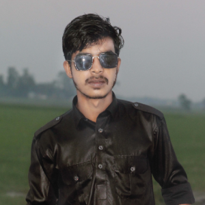 Md Rauf Hasan-Freelancer in ,Bangladesh