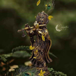 Vijaya Laxmi-Freelancer in Hyderabad,India
