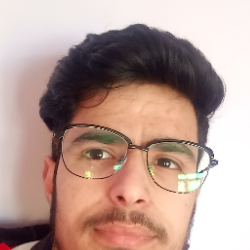 Dawood-Freelancer in Srinagar,India