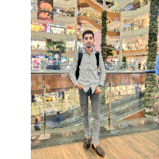 Vishesh Agrhari-Freelancer in Ghaziabad,India