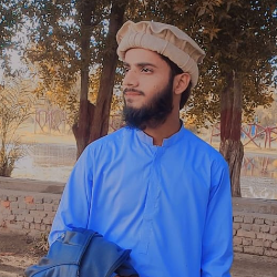 Syed Muhammad Ali Shah-Freelancer in Shikarpur,Pakistan