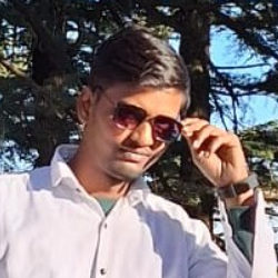 Vishal Rajoudi-Freelancer in Ghaziabad,India
