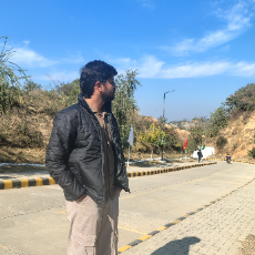 Satyam Rai-Freelancer in Greater Noida,India