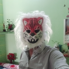 Dinesh Mor-Freelancer in Noida,India